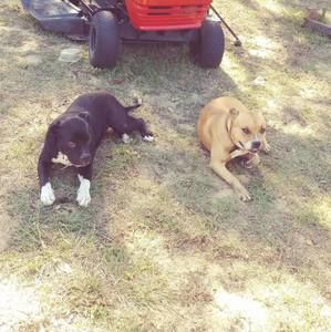 Meet your Posher, Arthur